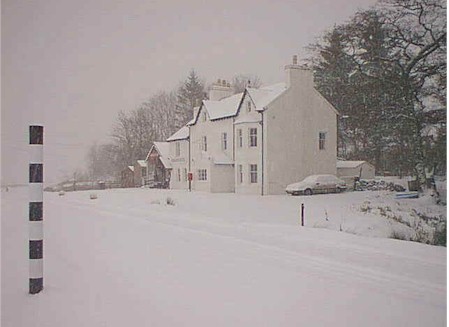 kinsnow.jpg (23546 bytes)