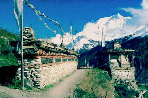 pwheel.jpg (31309 bytes)