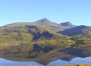 Reflections...