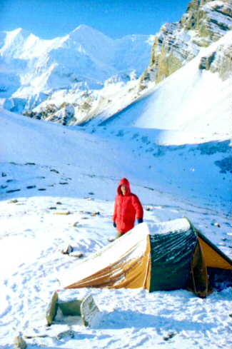 tlcam.jpg (24512 bytes)